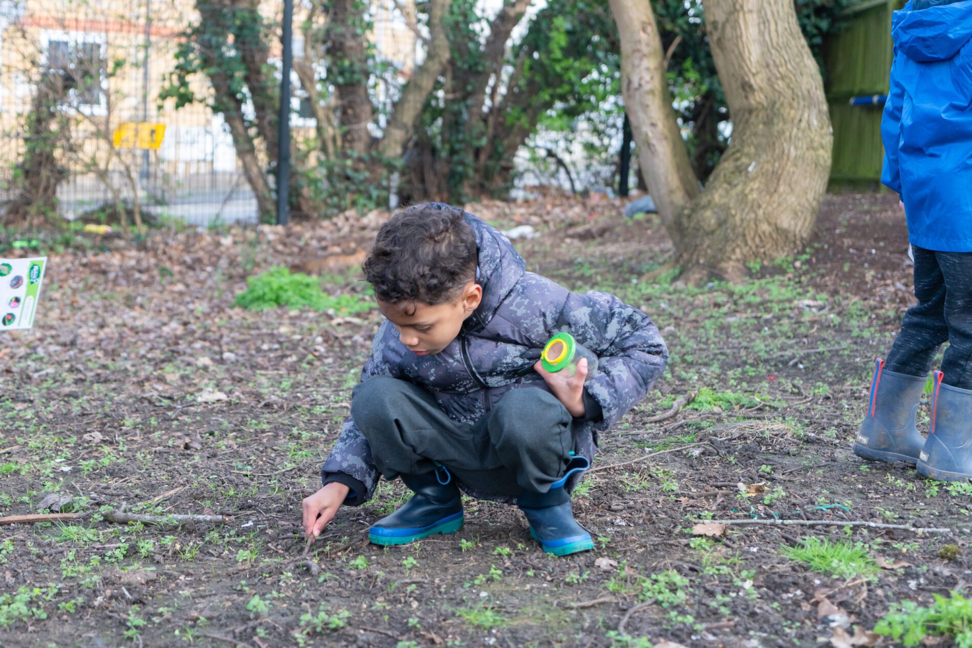 whitehill-curriculum-94