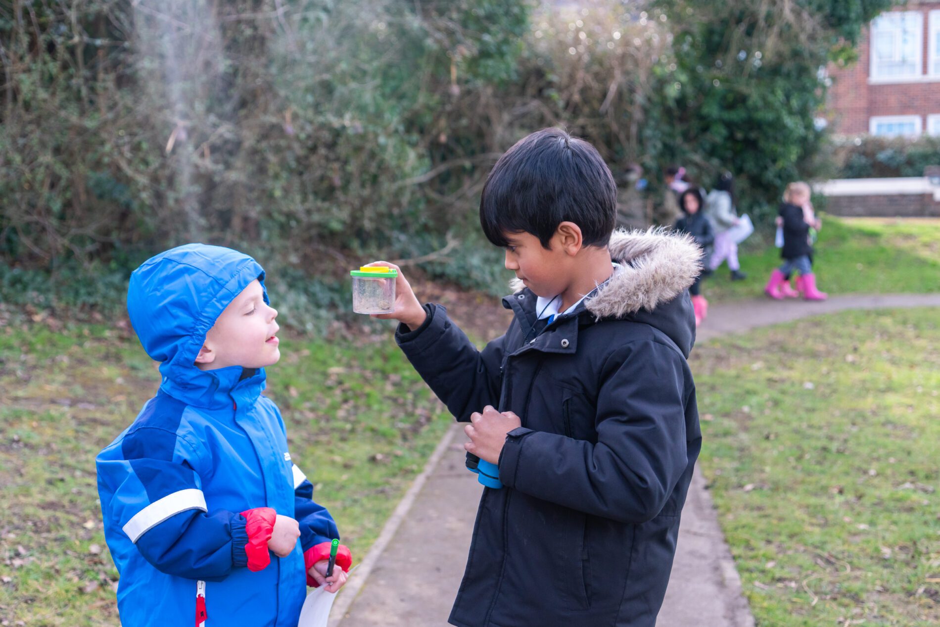 whitehill-curriculum-98